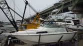 BOSTON WHALER31